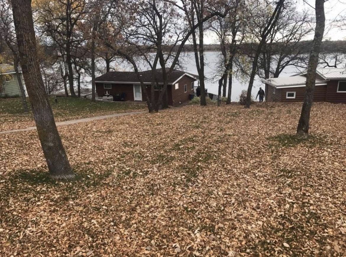Lake cabin yard covered in fallen leaves